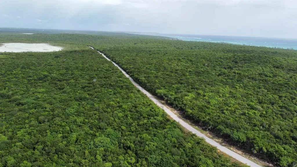Rock Sound Eleuthera Eleuthera BS