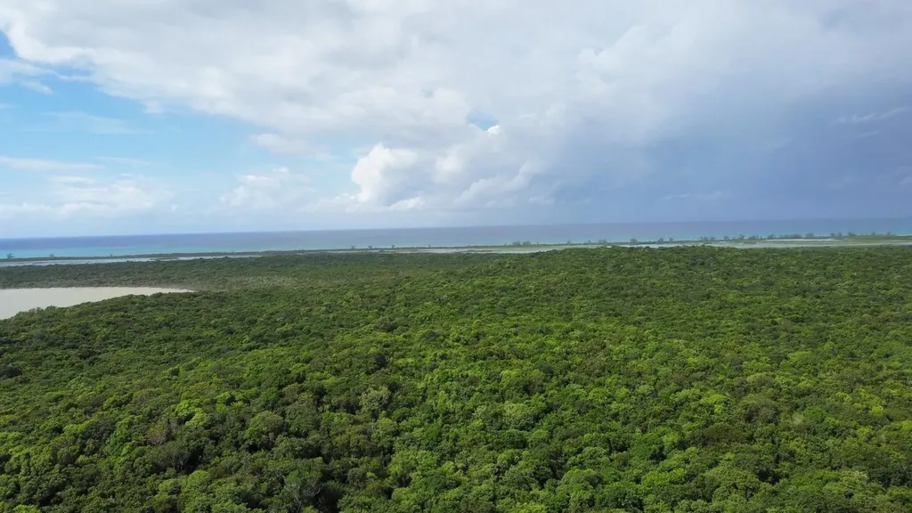 Rock Sound Eleuthera Eleuthera BS