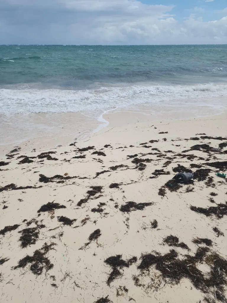 Rock Sound Eleuthera Eleuthera BS