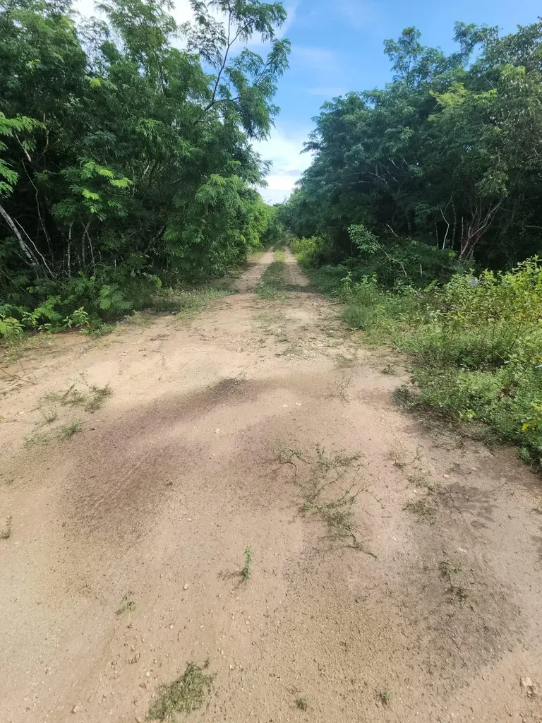 Rock Sound Eleuthera Eleuthera BS