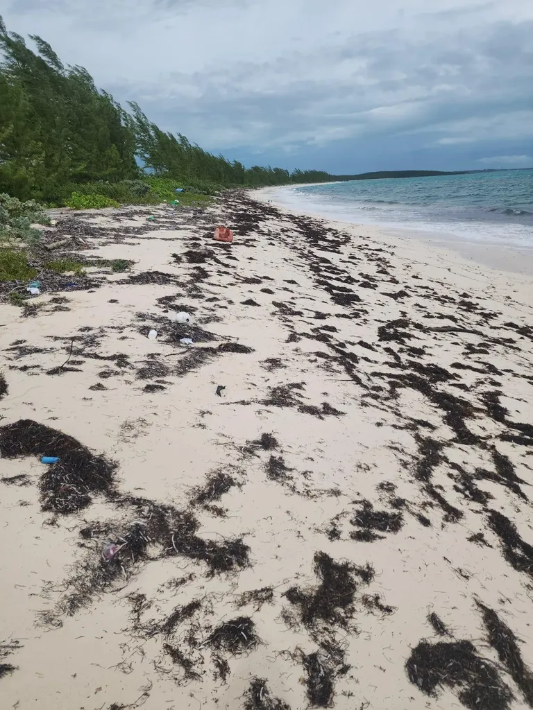 Rock Sound Eleuthera Eleuthera BS