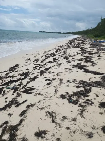 Rock Sound Eleuthera Eleuthera BS