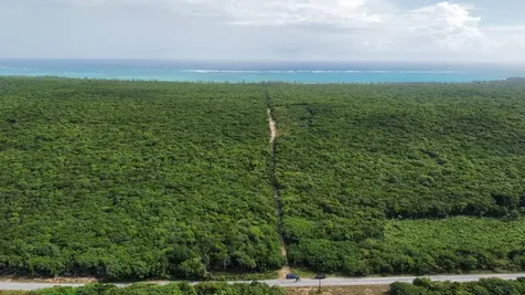 Rock Sound Eleuthera Eleuthera BS