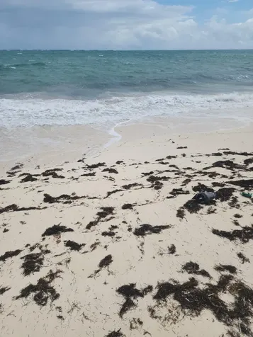 Rock Sound Eleuthera Eleuthera BS