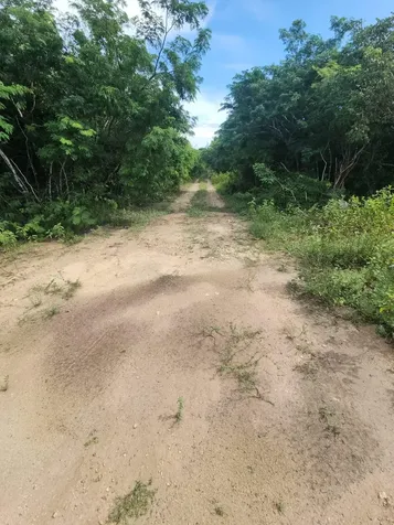 Rock Sound Eleuthera Eleuthera BS