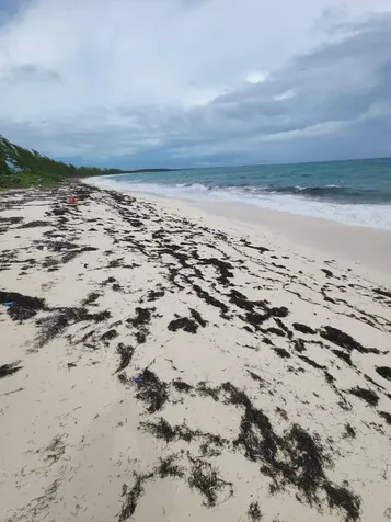 Rock Sound Eleuthera Eleuthera BS