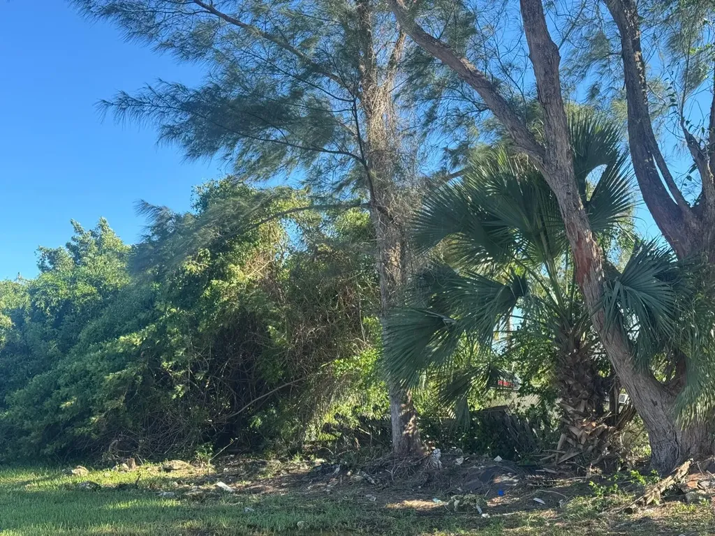 Misty Cloud Close New Providence Paradise Island BS