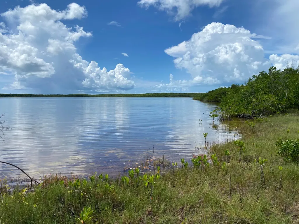 North Palmetto Point, Ele Eleuthera BS