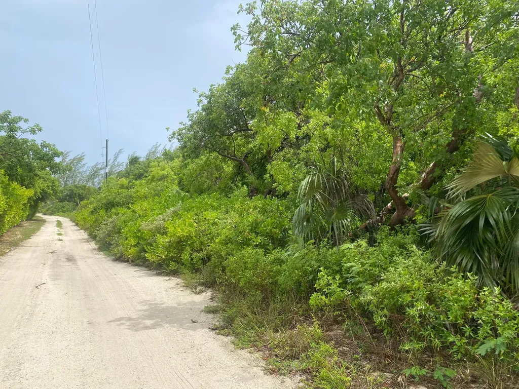 North Palmetto Point, Ele Eleuthera BS