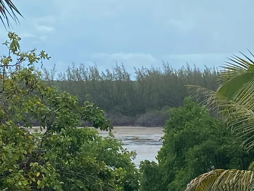 North Palmetto Point, Ele Eleuthera BS