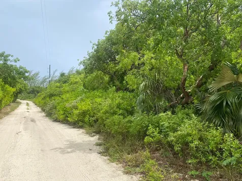North Palmetto Point, Ele Eleuthera BS