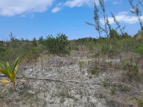 Green Castle 36-acre Lot Eleuthera BS