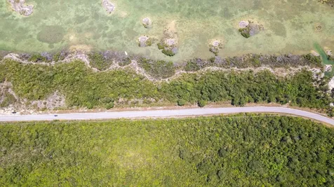 Mount Hope Acreage Abaco BS