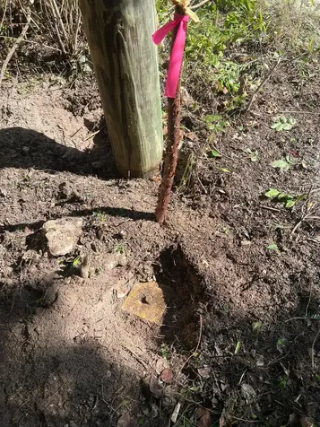 Exuma Bahama Sound Lot Exuma BS