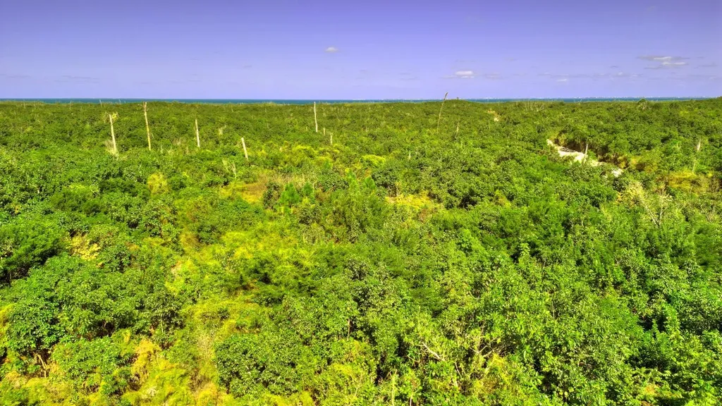 39 Acres Baker's Heights Abaco BS