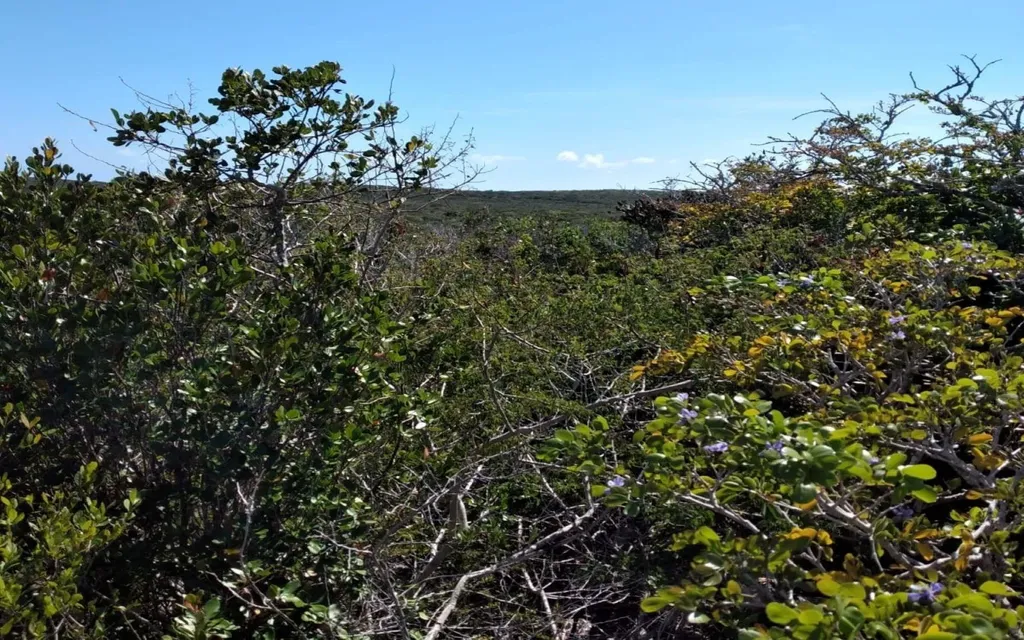 Lot 26 Columbus Landing San Salvador BS