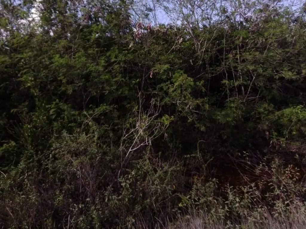 Lot 26 Columbus Landing San Salvador BS