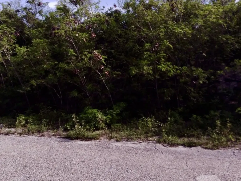 Lot 26 Columbus Landing San Salvador BS