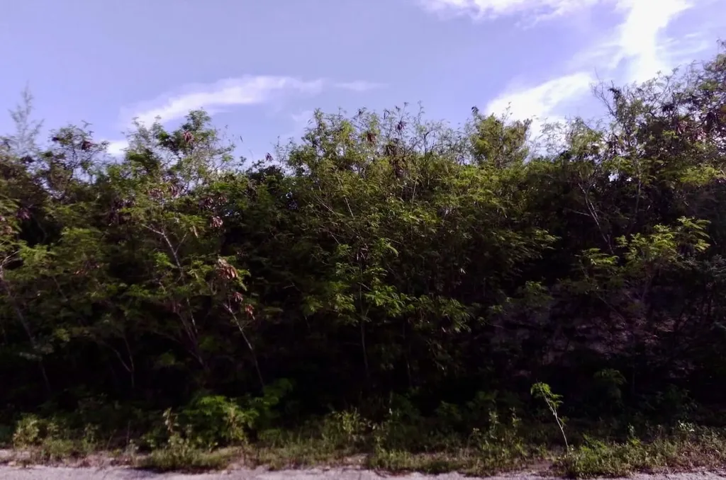 Lot 26 Columbus Landing San Salvador BS