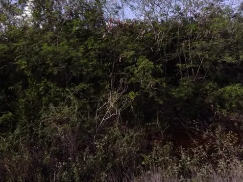 Lot 26 Columbus Landing San Salvador BS