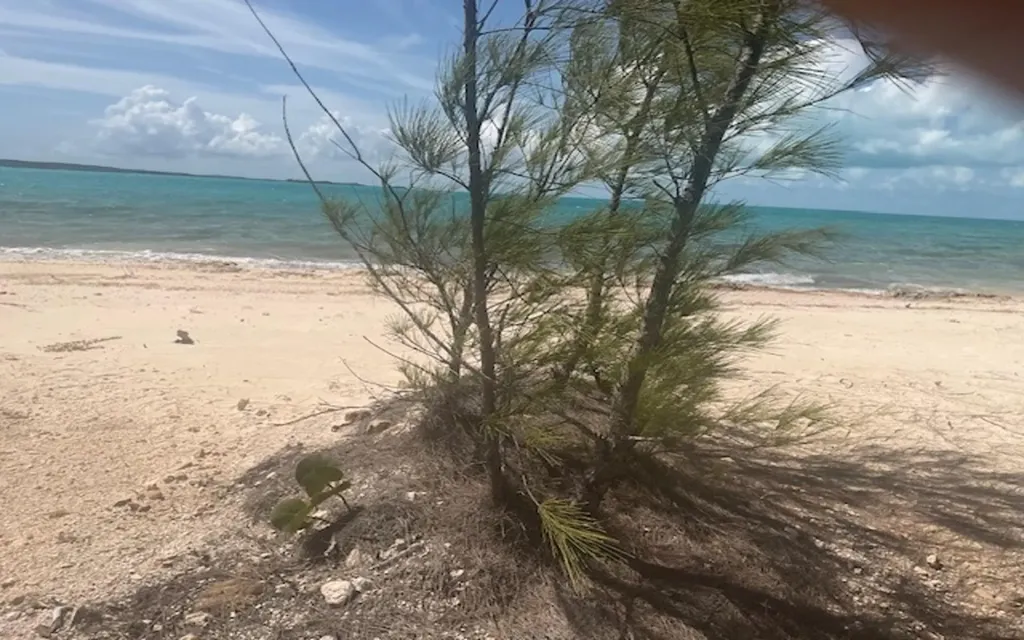 2a Indian Hole Point Long Island BS