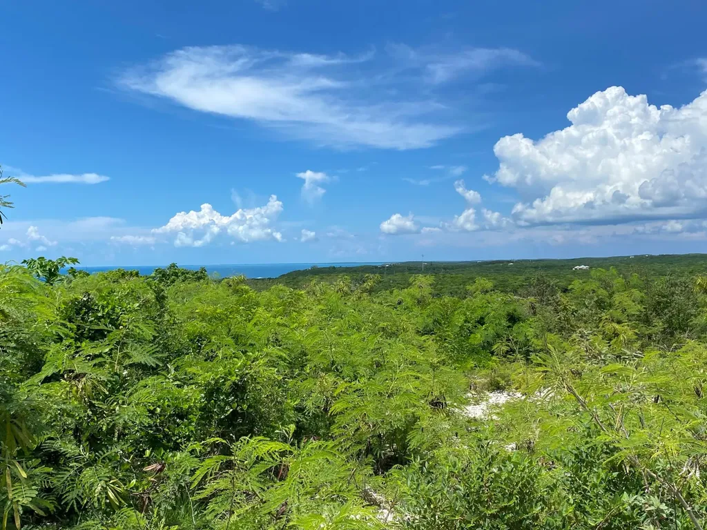 Eleuthera Island Shores Eleuthera BS