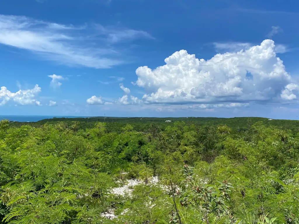 Eleuthera Island Shores Eleuthera BS