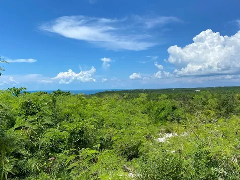 Eleuthera Island Shores Eleuthera BS