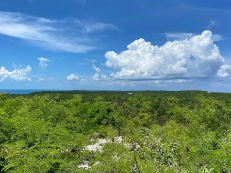 Eleuthera Island Shores Eleuthera BS