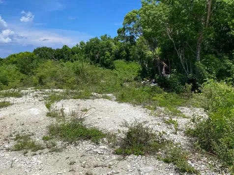 Eleuthera Island Shores Eleuthera BS