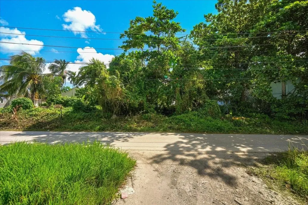 Colebrook Lane New Providence Paradise Island BS