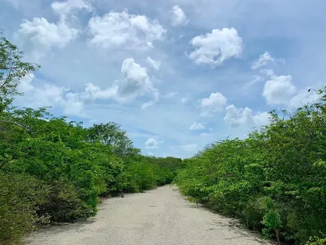 Lots #913, 912, 911 Exuma Exuma BS