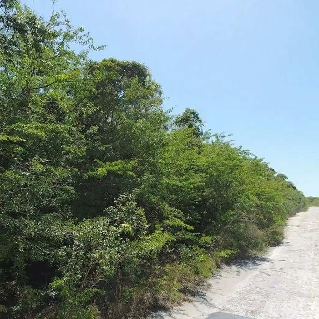 Exuma BS, Bahama Sound