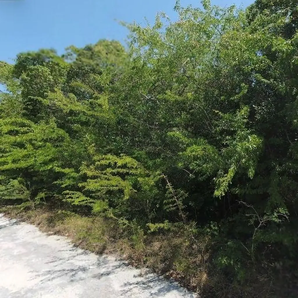 Bahama Sound Exuma BS