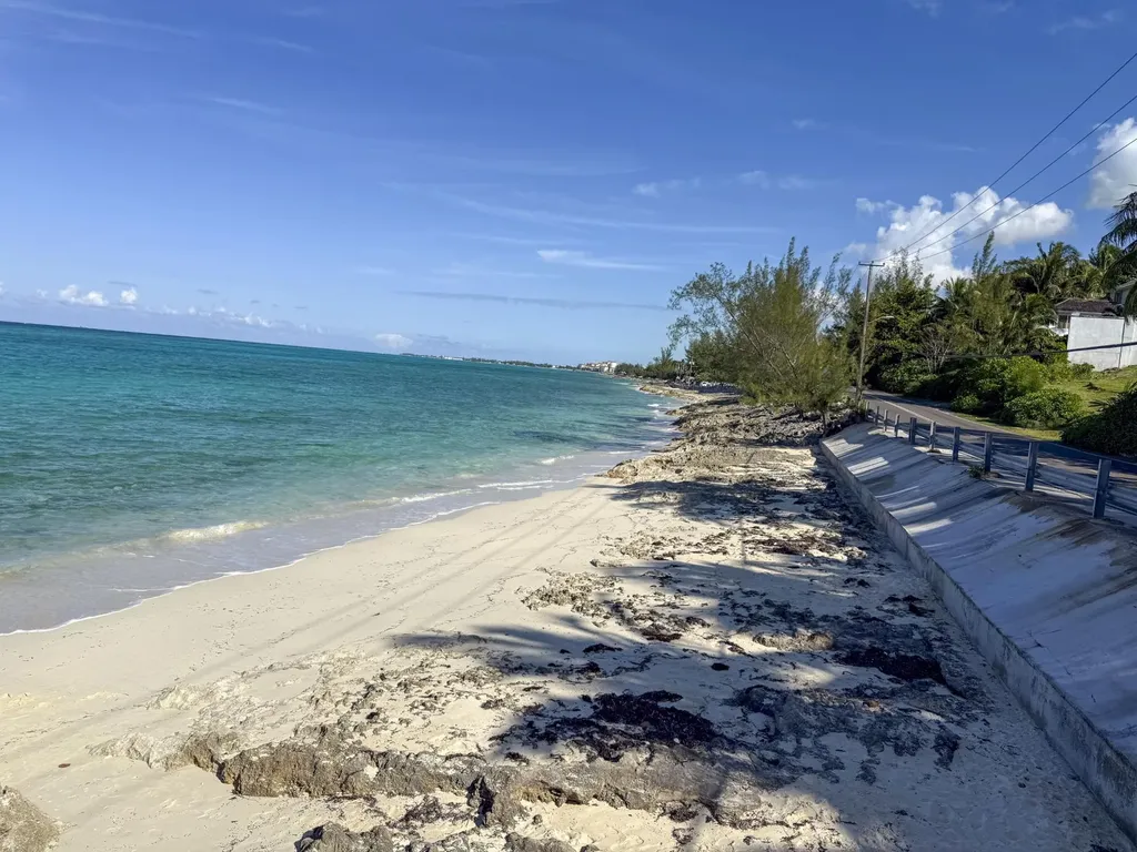 Swinwood New Providence Paradise Island BS