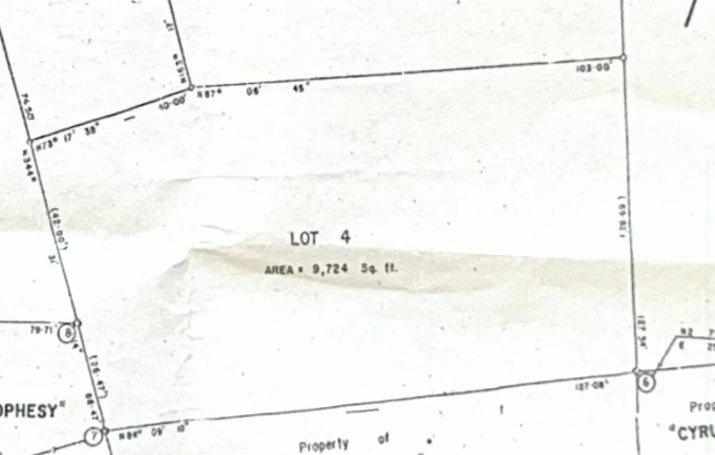 Swinwood New Providence Paradise Island BS