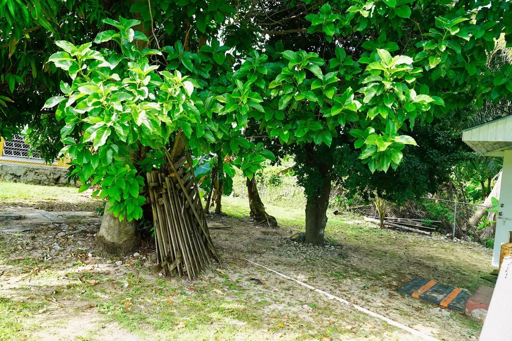 Providence Avenue New Providence Paradise Island BS