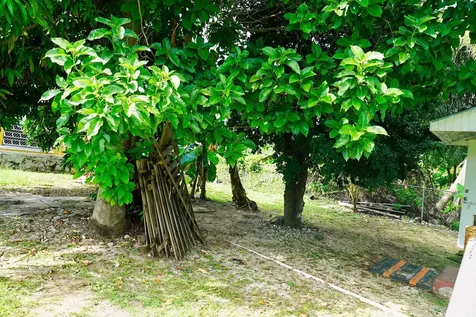 Providence Avenue New Providence Paradise Island BS