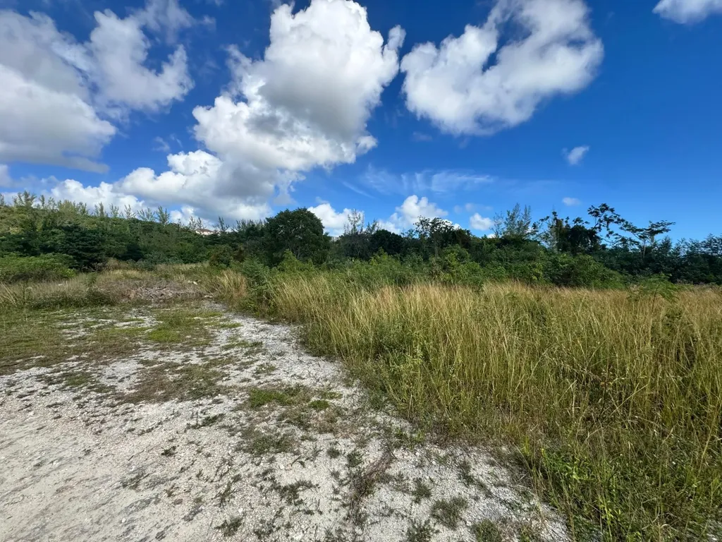 Lot #11 Granalm Estates New Providence Paradise Island BS