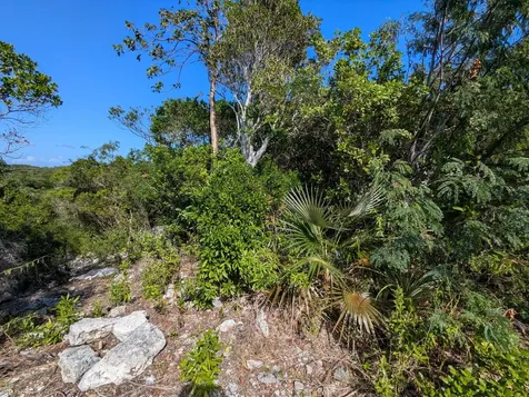 Jamaica Drive Lot #8857 Exuma BS