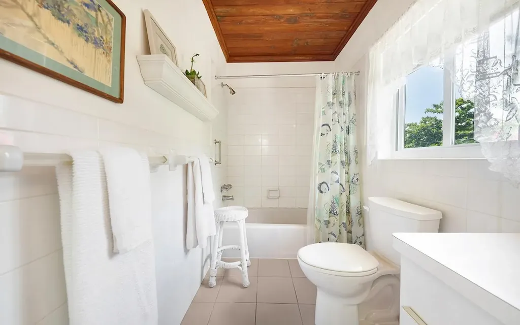 Tropical Impluse Banks Road Eleuthera BS