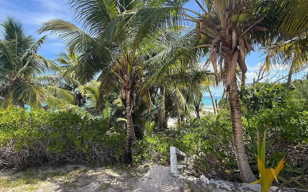 Tropical Impluse Banks Road Eleuthera BS