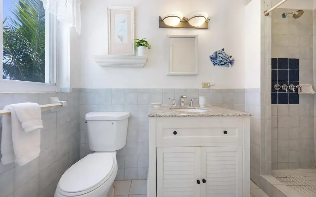 Tropical Impluse Banks Road Eleuthera BS