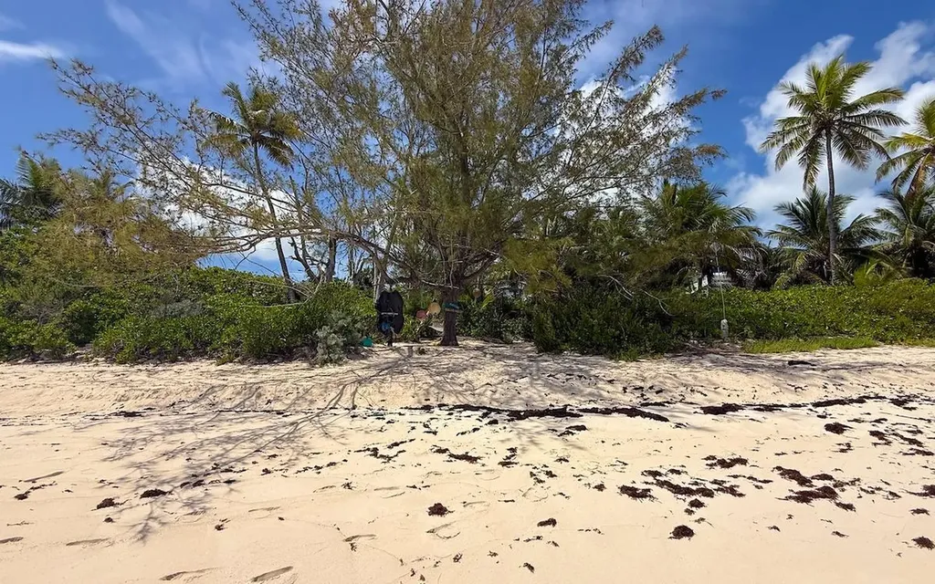 Tropical Impluse Banks Road Eleuthera BS