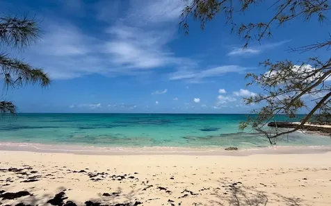 Tropical Impluse Banks Road Eleuthera BS