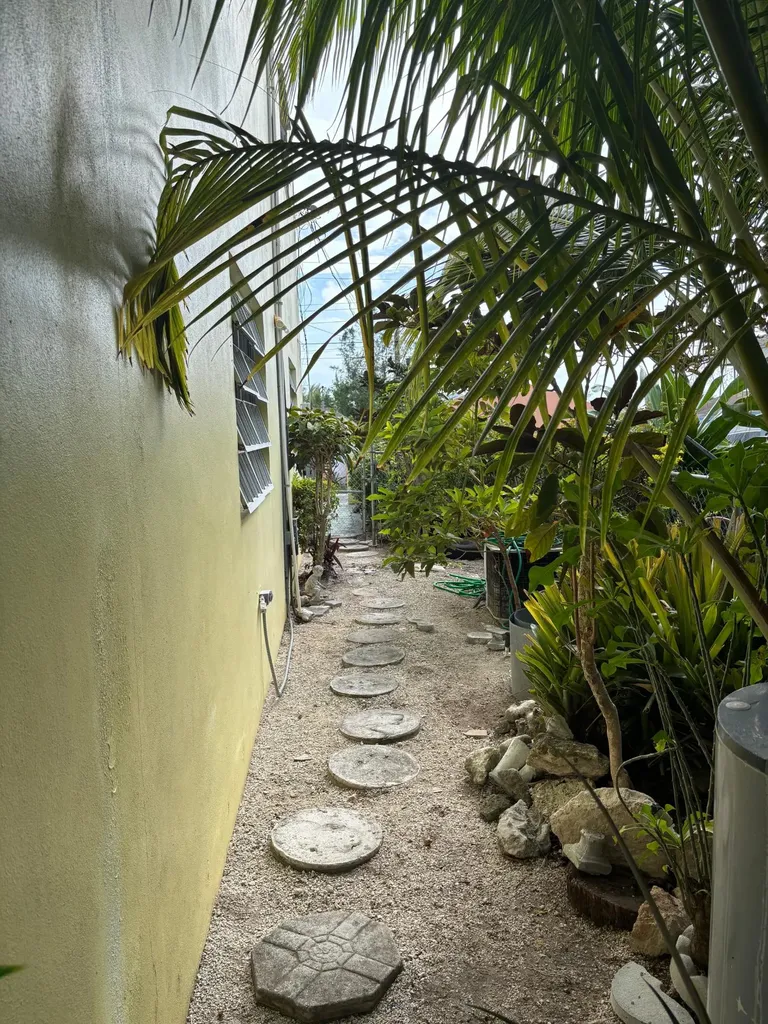 Misty Flowers Close New Providence Paradise Island BS