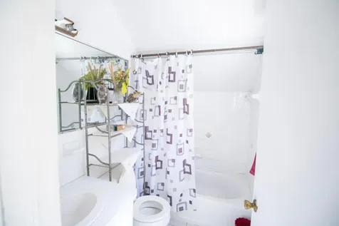 Misty Flowers Close New Providence Paradise Island BS