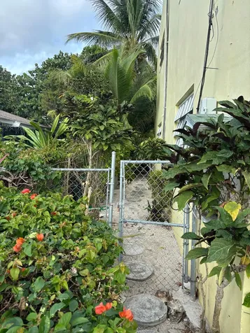 Misty Flowers Close New Providence Paradise Island BS