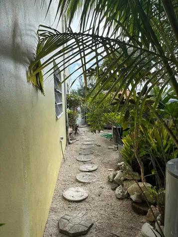 Misty Flowers Close New Providence Paradise Island BS