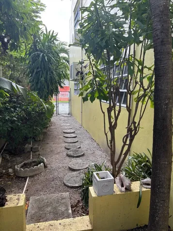 Misty Flowers Close New Providence Paradise Island BS